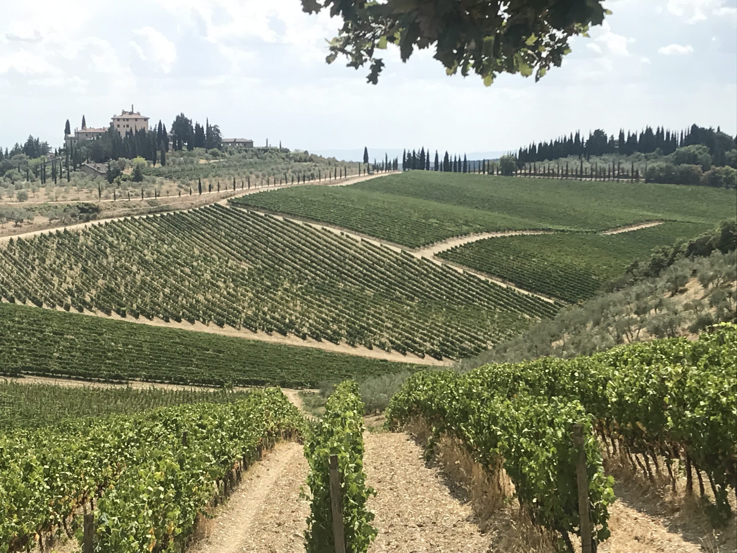 Sous le soleil de Toscane Akeance Consulting Sous le soleil de Toscane Akeance Consulting